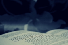 6 .- Bailando en la penumbra (Manuel David Anelo Herrero)