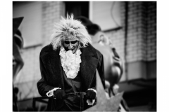 The Penguin Spanish, Carnavales 2015