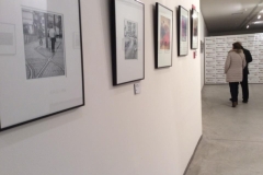 Photoluz_0009