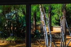jardin_botanico_201507_0430