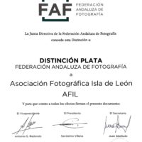 Distinción Plata AFIL